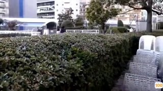 性欧美av➕18禁污污污网站